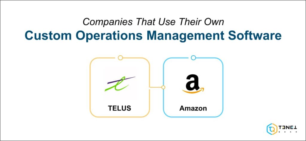 companies that use a custom erp system